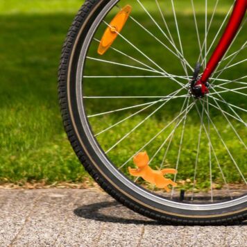 Petit chat pour vélo